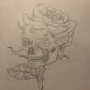 Meet your Posher, Lily